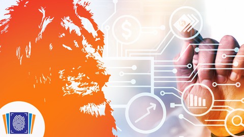 Guia Prático para Iniciantes sobre Como Declarar o Imposto de Renda